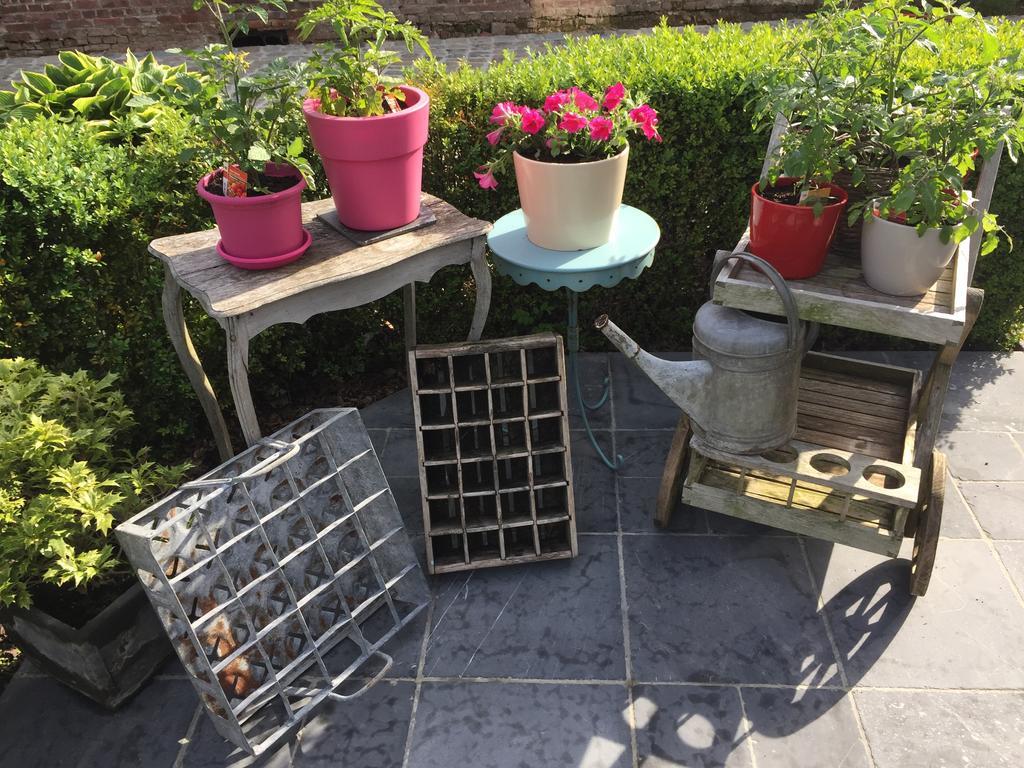Reningelst B&B De Rentmeesterhoeve المظهر الخارجي الصورة